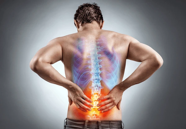 Joint & Back Pain